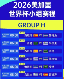 2026世界杯足球场